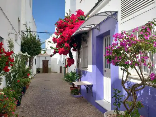 CORAZÓN DE CONIL
