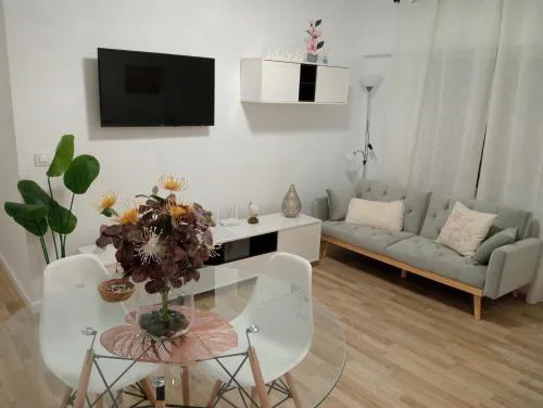 Amor, emoción y más, Auténtico apartamento céntrico climatizado,con wifi, cercano a la catedral y estaciones