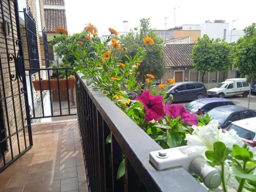 Casa Violeta