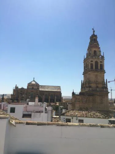 SunShine La Hoguera