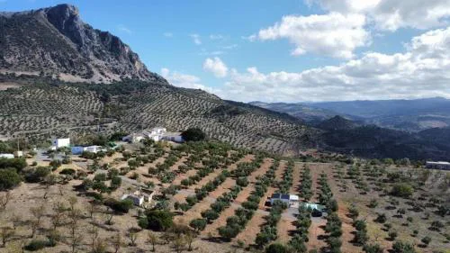 La Cordillera 2