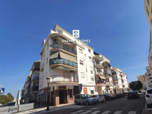 Alo Oasis Family