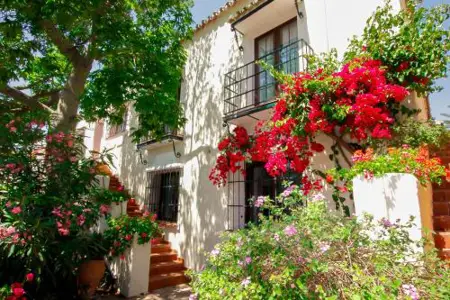 Cortijo De Cortes