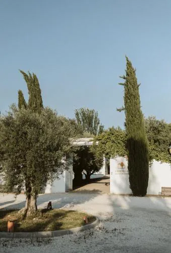 Cortijo de Enmedio