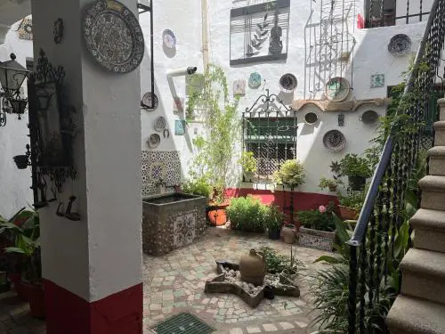 Habitación doble junior con terraza