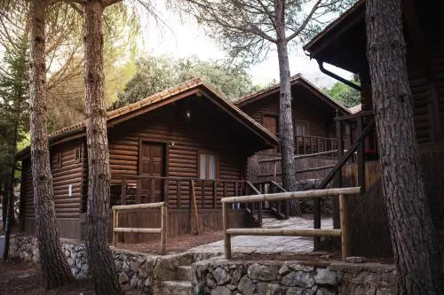 Camping TajoRodillo