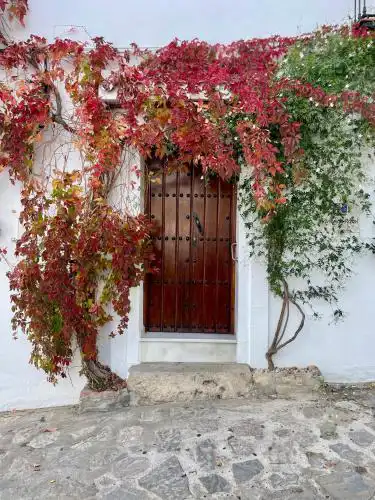 CUEVAS del PEÑÓN