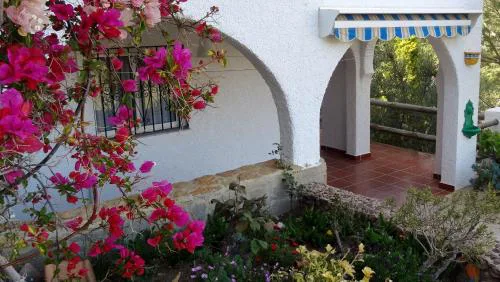 Algarrobo