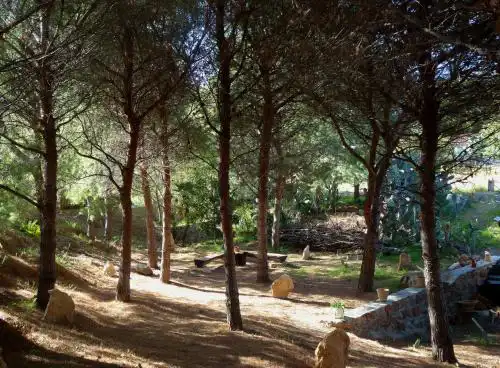 Los Pinos