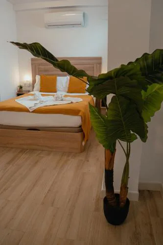 Andalusian Stay II