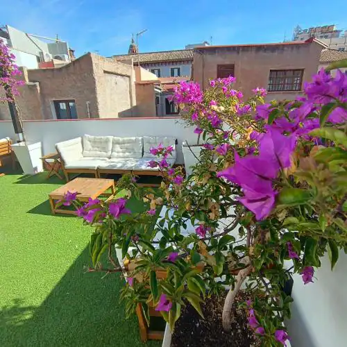Aptos plaza de los mártires