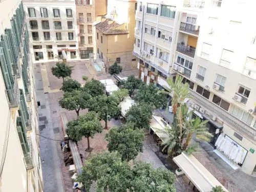 Del Parque Flats Flores Premium