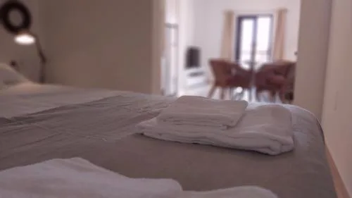 Del Parque Flats Parras Suite