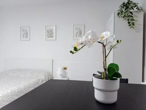 Hermoso Estudio Centro de Malaga