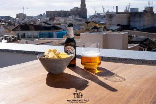 Luxury Duplex with Pool and Padel Court in Town