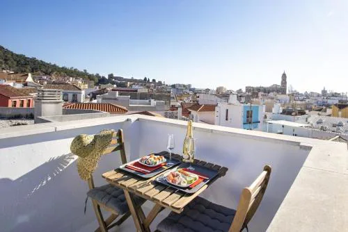 -MalagaSunApts- Private Terrace Studio