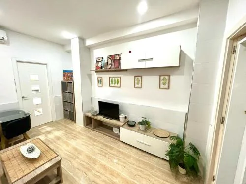 Rosaleda Centro Apartamento