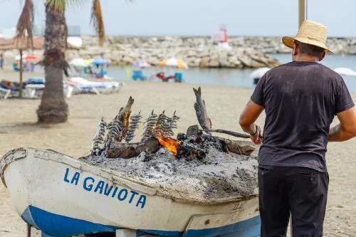 Las Gaviotas B9