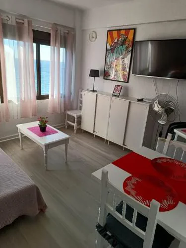 Marbella center studio apartment