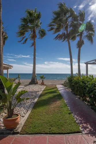 Beach Paradise, Nº5