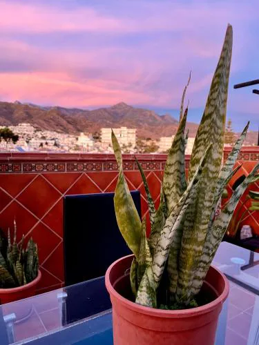 Costa Suri Casa