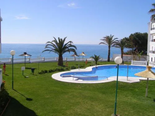 PALMERAS 55 Menyber