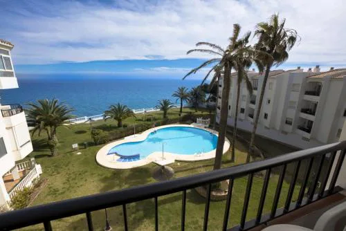 PALMERAS 72 MENYBER