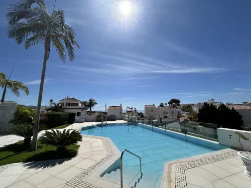 Royal Palm 10