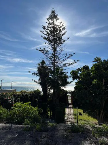 Gran Jardín frente al mar