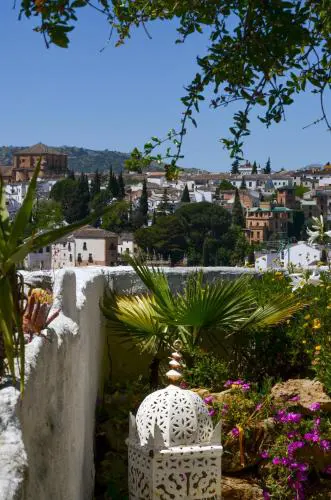 City Central Studio +Private Garden +Amazing View