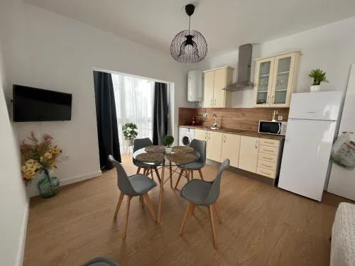 apartamentos Larios centro