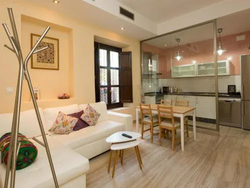 3 bedrooms apartment in the historic center by the river