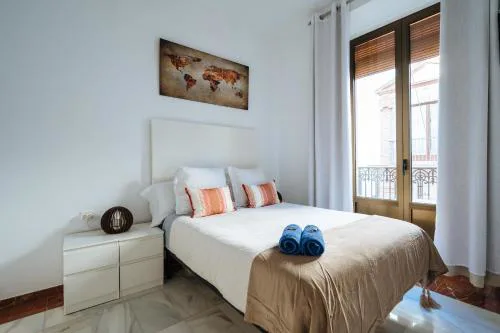 Apartamento de Lujo Junto a la Catedral