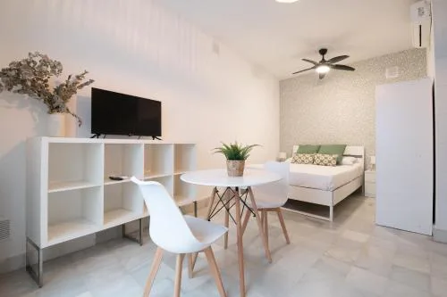 Apartamentos Alameda de Hércules