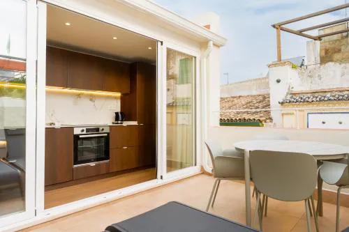 Brand new penthouse -Private roof terrace- Alameda
