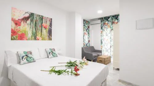Guesthouse Room & Studio Seville La Flamenka