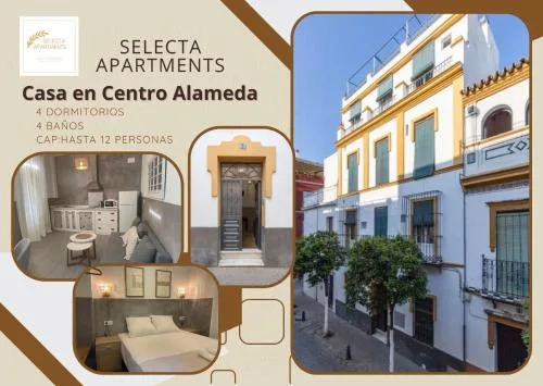 Selecta Central Apartments in Alameda