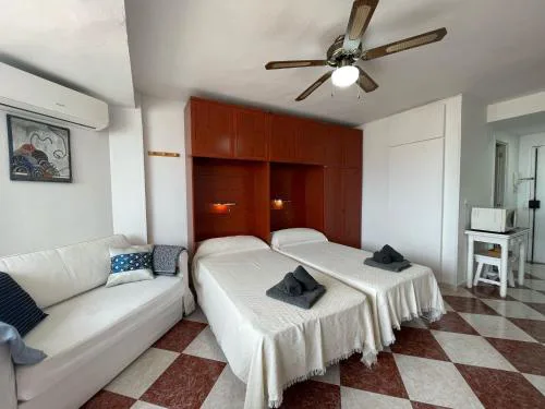 Terrasol Plazamar 4-9 Planta