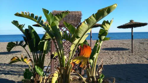 Aloha Paraíso