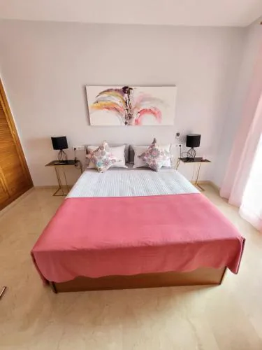 APARTAMENTO PLAYA LA VIÑA P