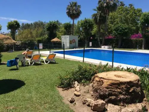 Estudio vacaciones en los álamos