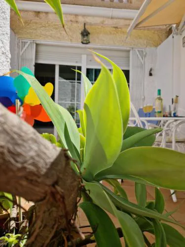 San Antonio - Beach, pool and terrace
