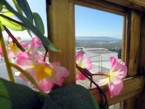 Vejer de la Frontera Luis