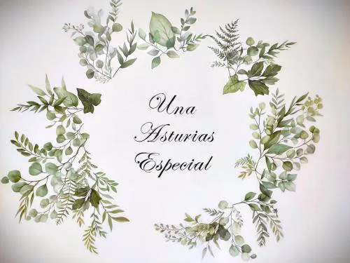 Una Asturias Especial
