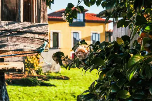 La Casona de Faedo Pensión