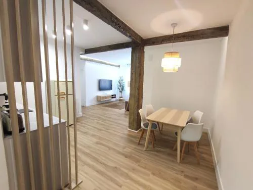 Bilbao Urban Loft Apartment