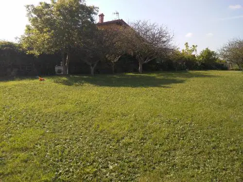 vivienda la palmera