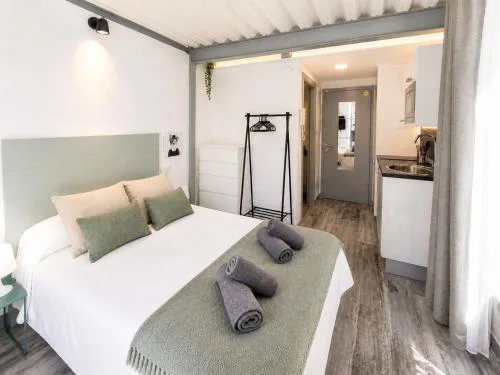 Disfruta Burgos en estudio en Casco Antiguo P3