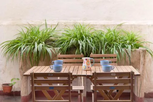 Apartamento Comte Borrell