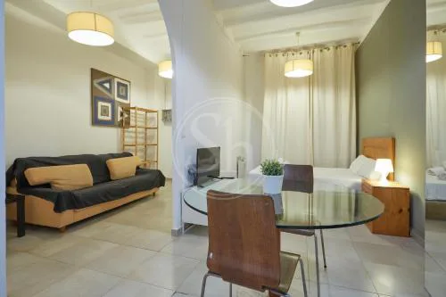 Estudio en Gracia 2